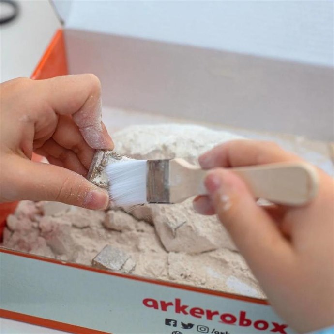 Arkerobox%20%20Afrodisias%20Eğitici%20Kazı%20Seti