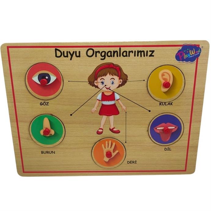 Ahşap%20Tutmalı%20Organlar%20Puzzle