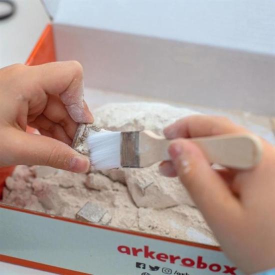 Arkerobox  Afrodisias Eğitici Kazı Seti